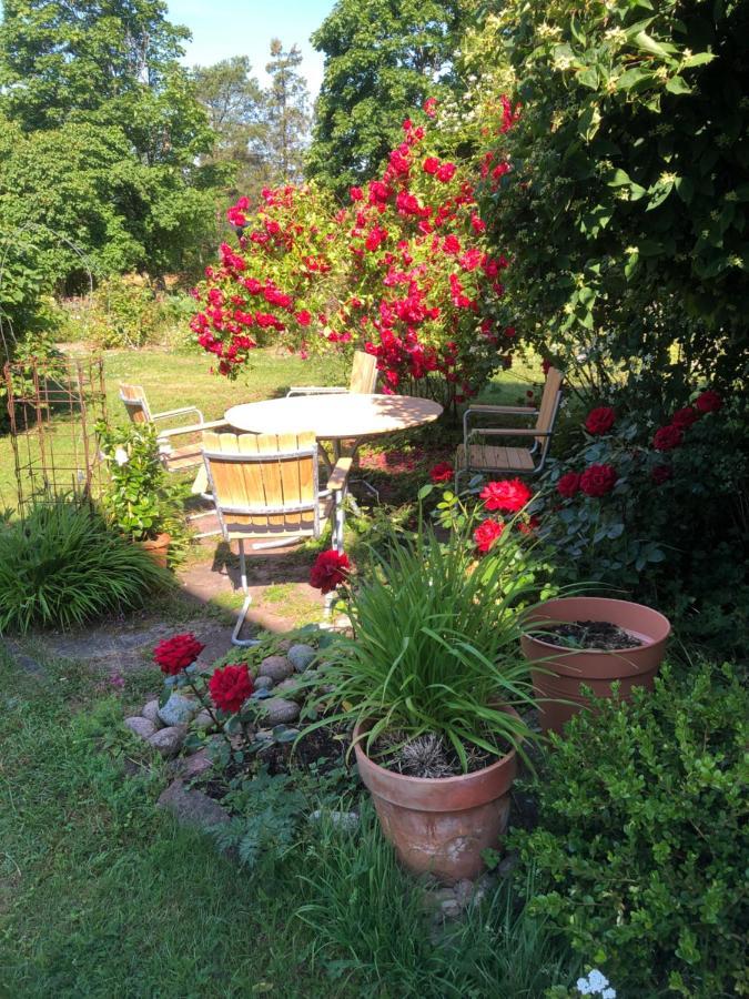 Susannes B&B Frebbenby Экстерьер фото